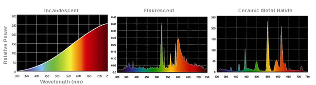 spectral power distribution